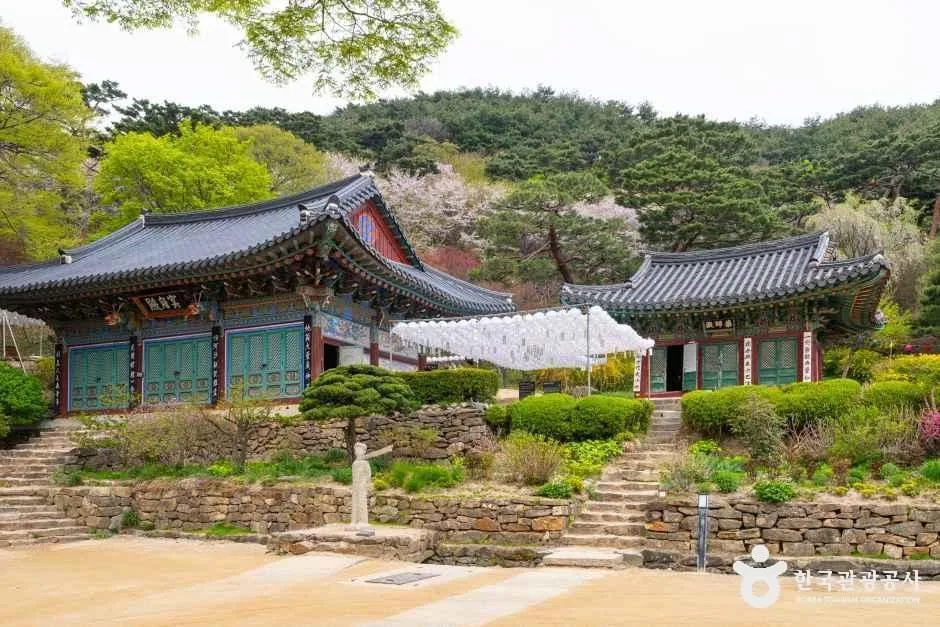 돌계단과 화단 위로 기와지붕 전각들이 이어지고 하얀 연등 줄이 걸린 봄날 전등사 마당