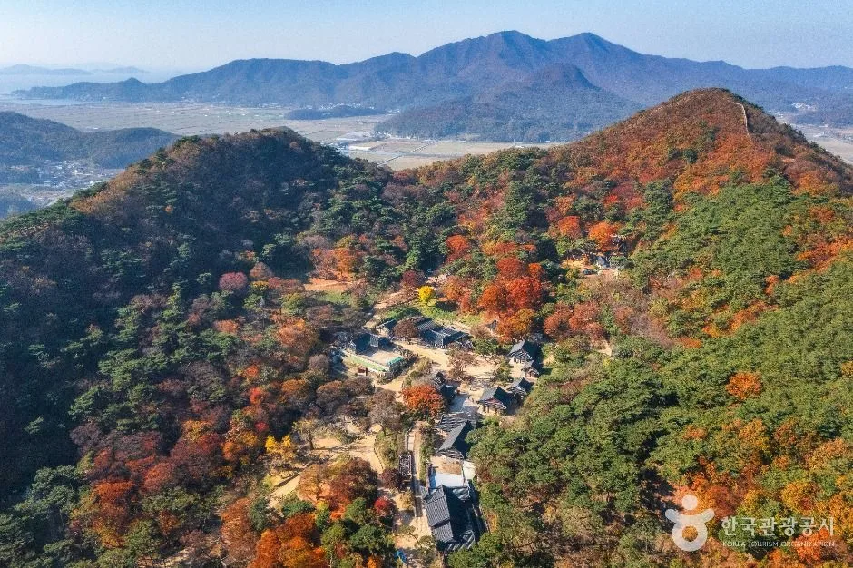단풍이 붉고 노랗게 든 정족산 숲 한가운데 기와 전각들이 모여 앉은 전등사를 위에서 내려다본 모습