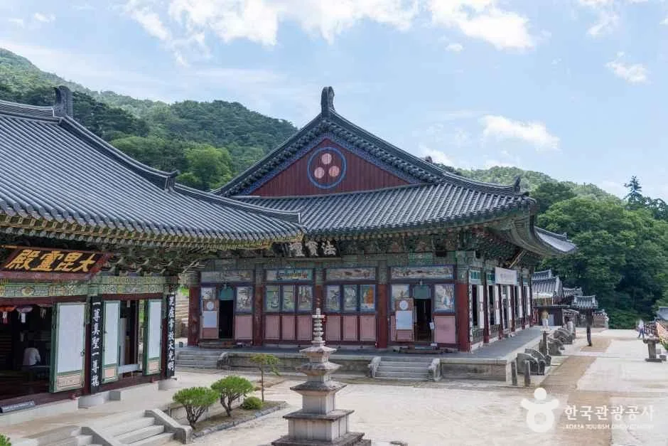 푸른 산을 등지고 단청 입힌 해인사 법당과 석탑이 넓은 마당 위에 서 있는 모습